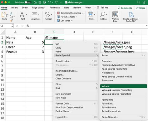 indesign data merge excel.